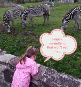 Joni and the zebras